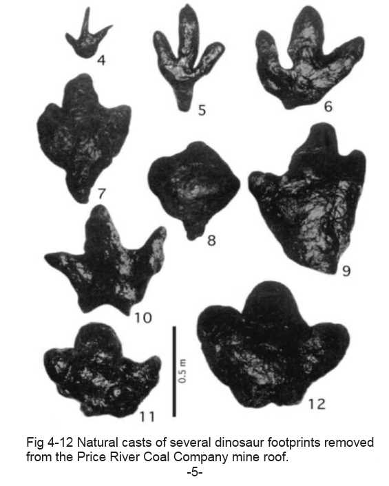 footprint casts